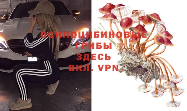 стафф Абаза